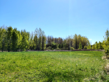 Działka Gronity