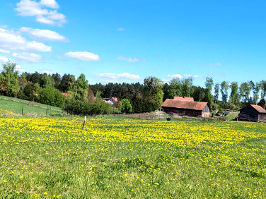 Działka Gronity