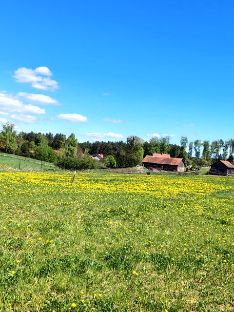Działka Gronity