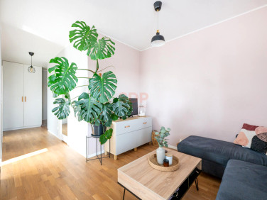 Mieszkanie Wrocław sprzedaż