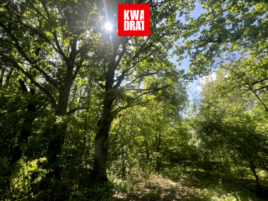 Działka budowlana Otwock sprzedam