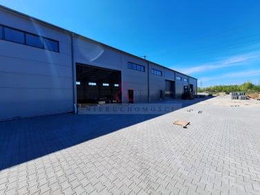 Budynek użytkowy Gdańsk