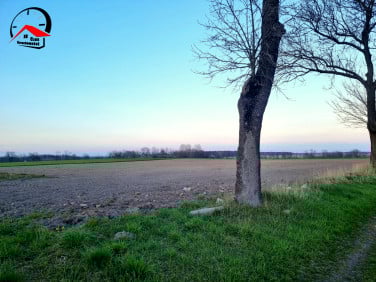 Działka rolna Dzierzążno