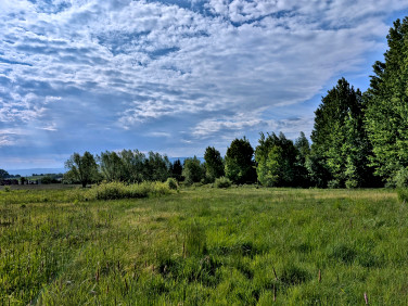Działka Giebułtów