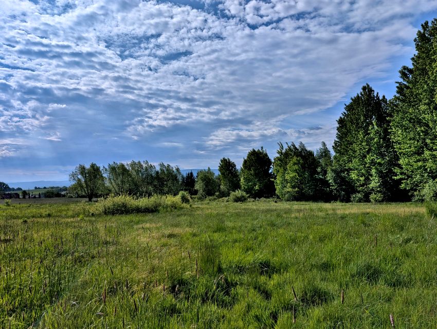 Działka Giebułtów