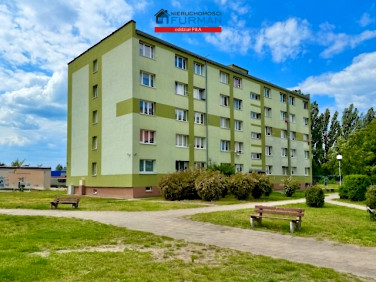 Mieszkanie Piła