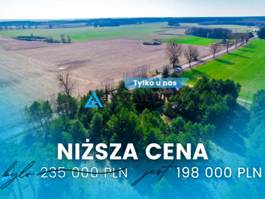 Działka Witkowo