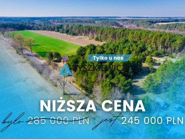 Działka Witkowo