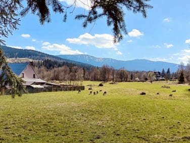 Dom Zawoja