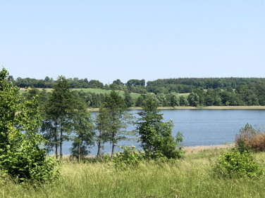 Działka przy lesie