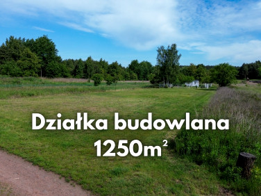 Działka przy lesie