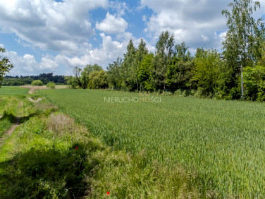 Działka Wilczyn