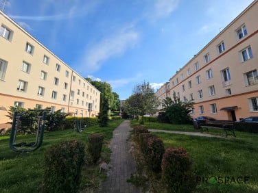 Mieszkanie Zielona Góra