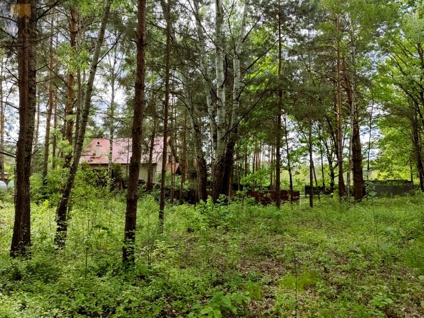 Działka Topolina