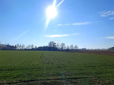 Działka budowlana Malanów