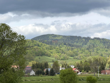 Działka budowlana Pisarzowice sprzedam