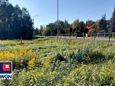 Działka Żarki