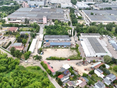 Lokal Łódź