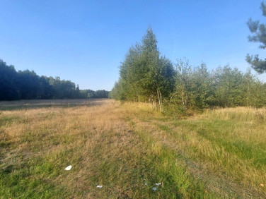 Działka budowlana Mrozy