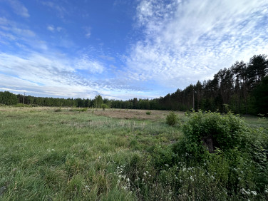 Działka Stawno