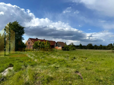 Dom Piotrów
