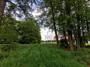 Działka budowlana Kałęczyn