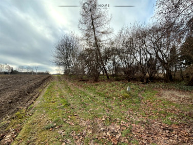 Działka Konopnica