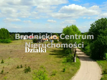 Działka Bryńsk