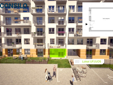 Lokal Kraków