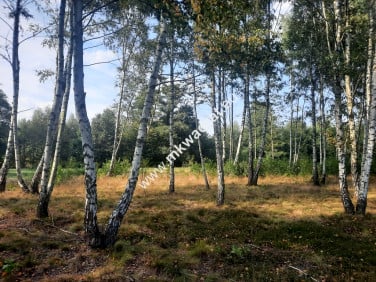 Działka usługowa Nadarzyn