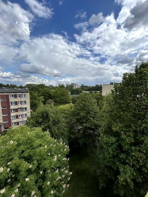 Mieszkanie Świętochłowice