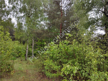Działka budowlana Osowiec