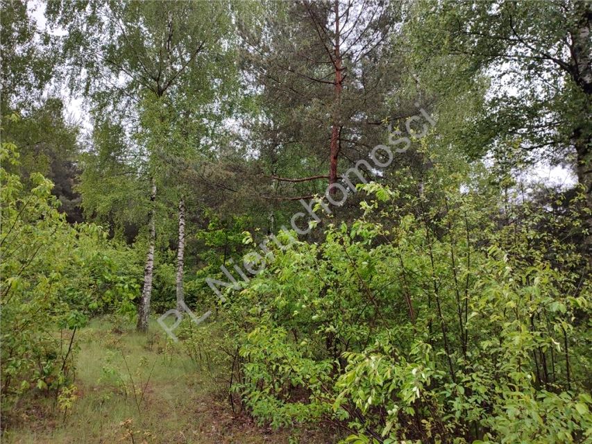 Działka budowlana Osowiec