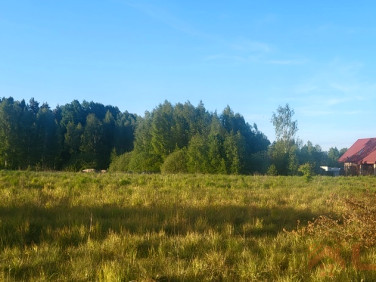 Działka Lewickie