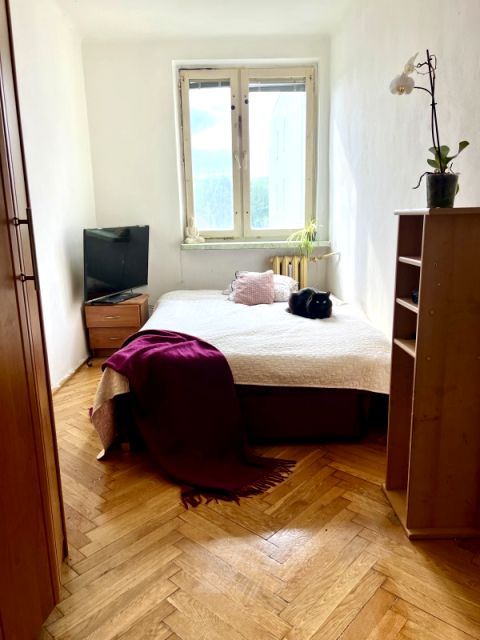 Mieszkanie Ciechanów