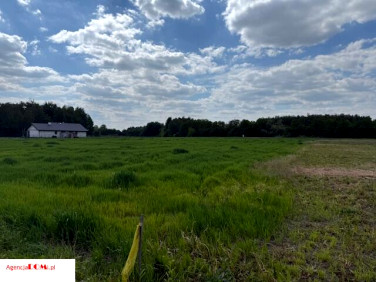 Działka budowlana Cholewy sprzedam