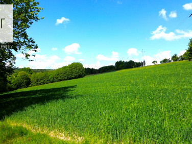 Działka Gnojnica