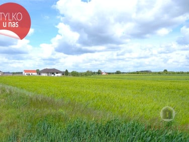 Działka budowlana Kłodawa