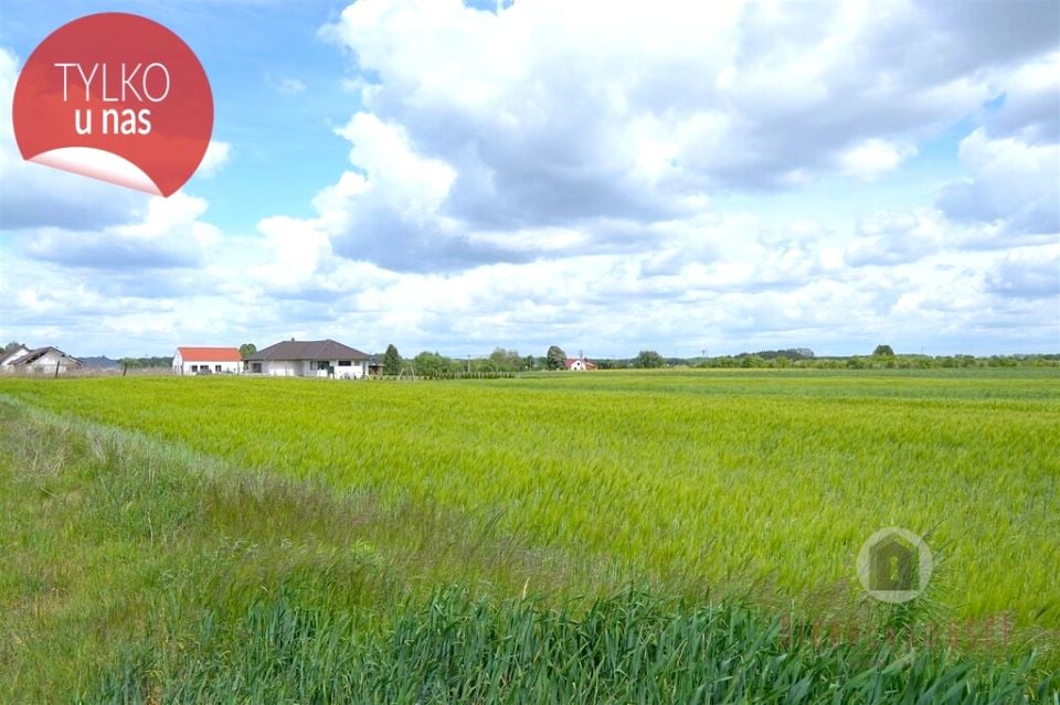 Działka budowlana Kłodawa
