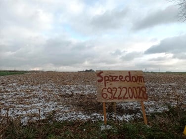 Działka budowlana bełżyce