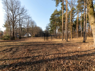 Działka Warszawa