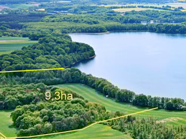 Działka rolno-leśna Sieraków
