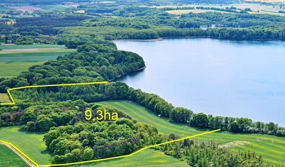 Działka rolno-leśna Sieraków