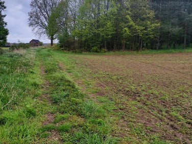 Działka siedliskowa CHŁOPOWO