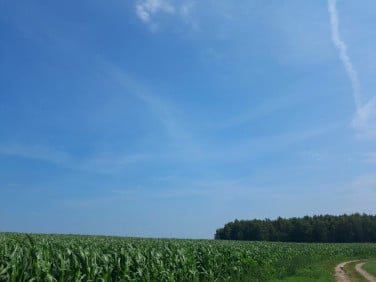 Działka budowlana Śliwice