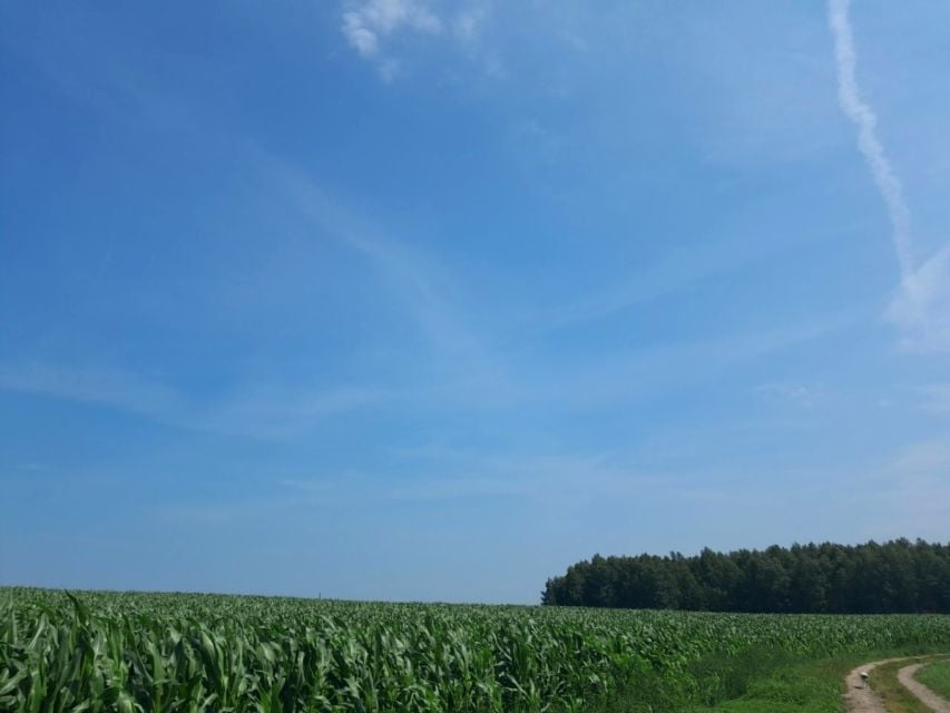 Działka budowlana Śliwice