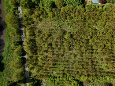 Działka nad rzeką