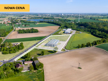 Budynek użytkowy Głuchowo sprzedaż