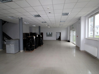 Lokal Kraków