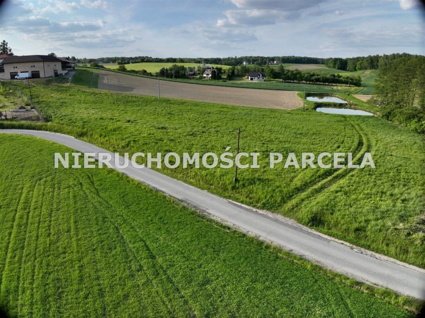 Zdjęcie 2